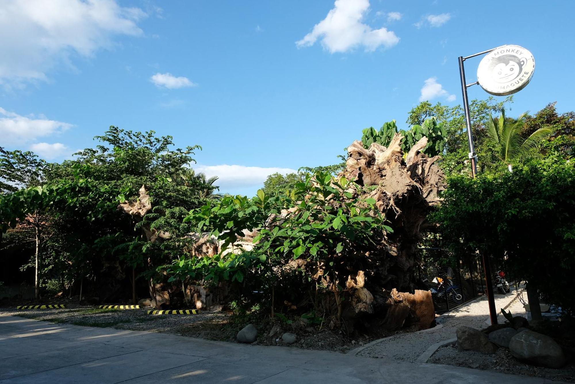 Hostel Mad Monkey Dumaguete Dumaguete City Zewnętrze zdjęcie